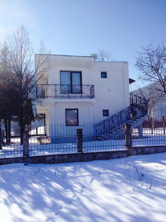 Vila Blanca Alexandru cel Bun Kamer foto