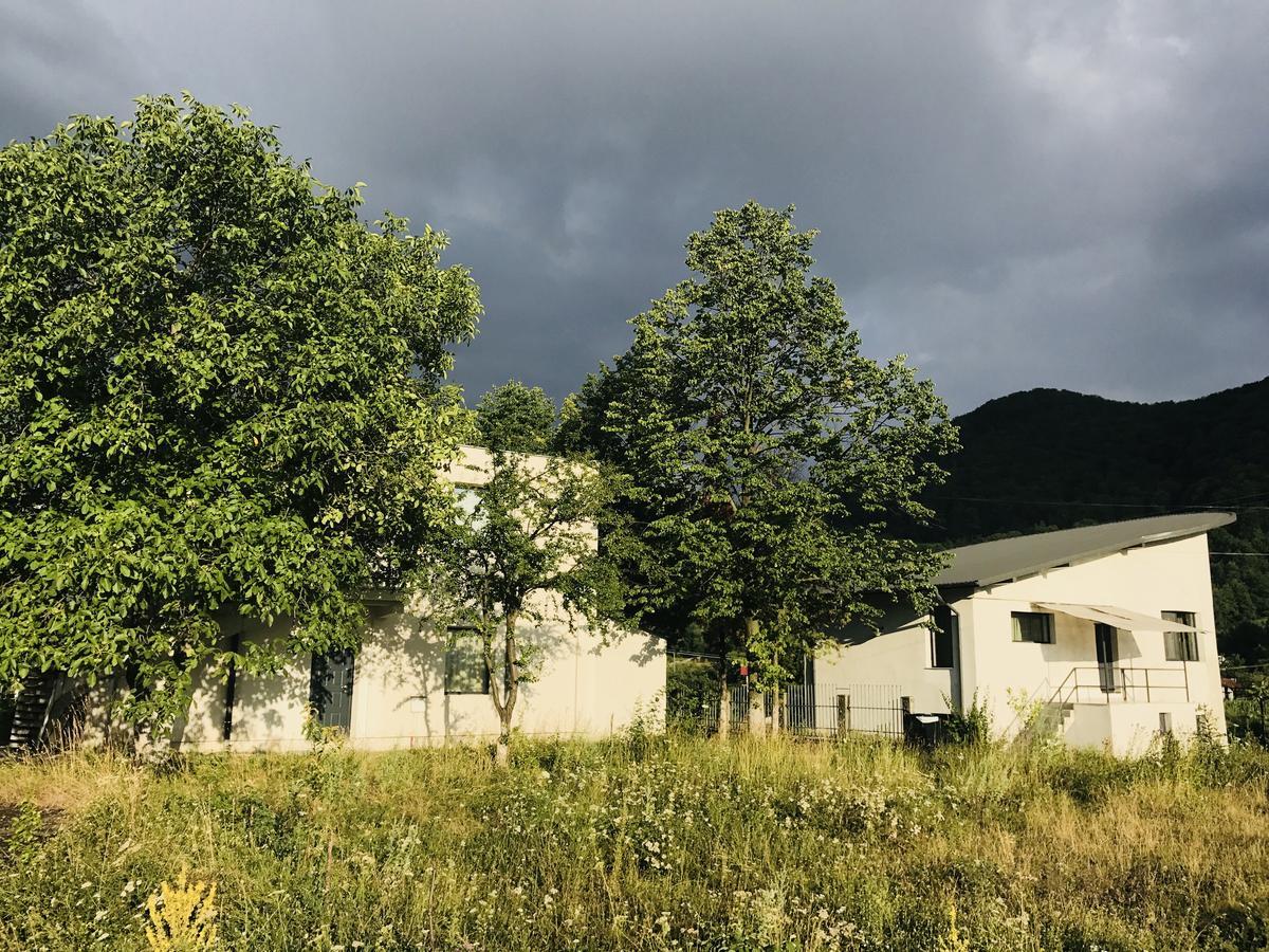 Vila Blanca Alexandru cel Bun Buitenkant foto